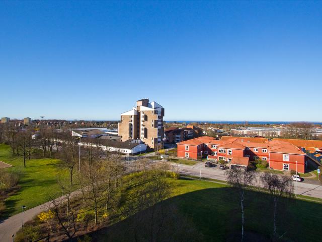 Lägenhet hyra i Gotland, Skåne