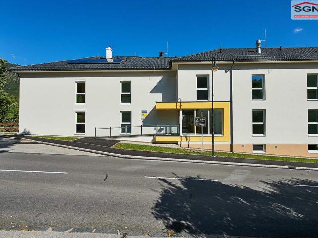 Gewerbe mieten in Katastralgemeinde Neunkirchen, Neunkirchen