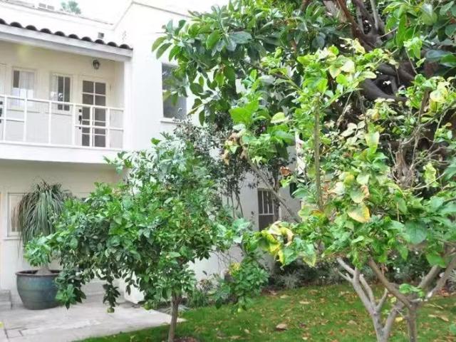 Condo for rent in North Hollywood