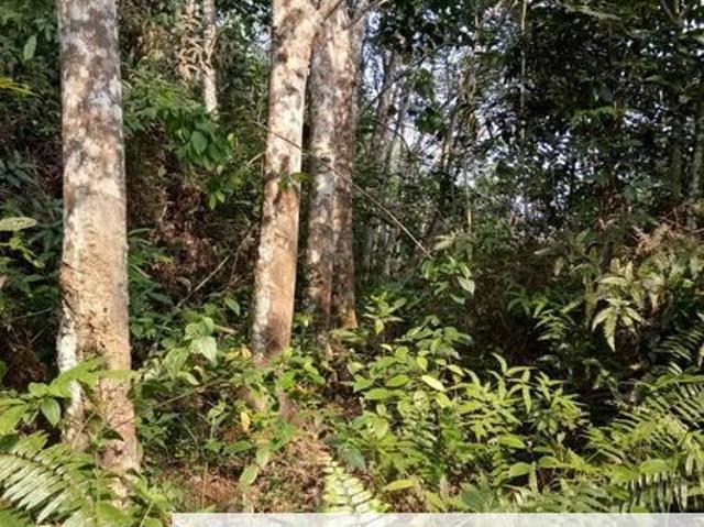 House for sale in Sungai Ruan, Pahang