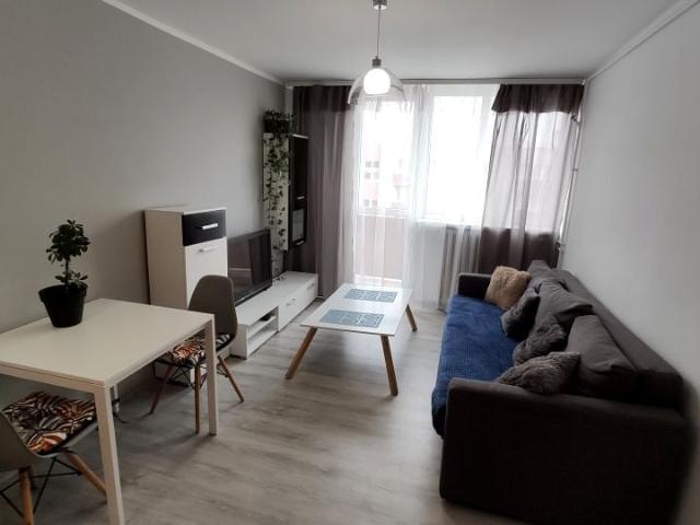 Mieszkanie do wynajęcia w Opole, Opolskie