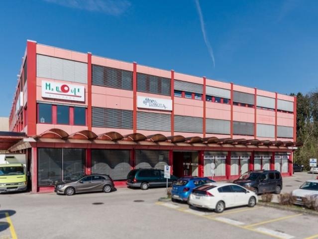 Garage mieten in Crissier, Waadt