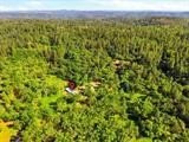 Land for sale in Applegate, California