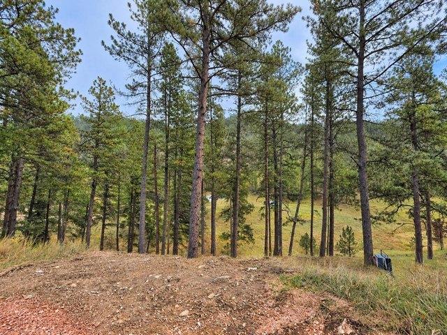 Land for sale in Hill City, Pennington County