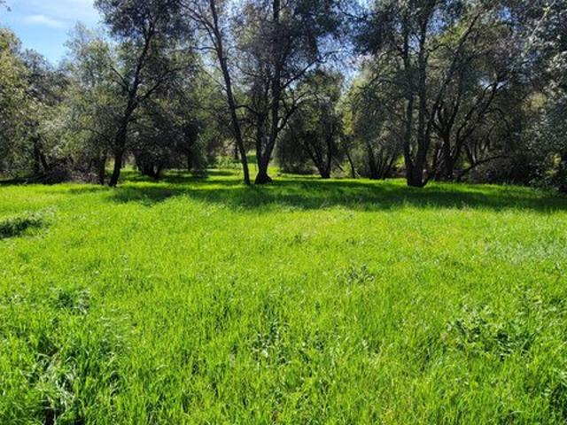 Land for sale in Shasta, California
