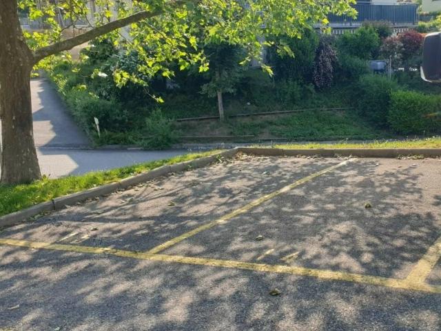 Immobilie mieten in Forel (Lavaux), Waadt