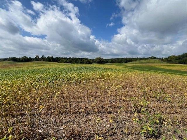 Land for sale in Dent, Minnesota