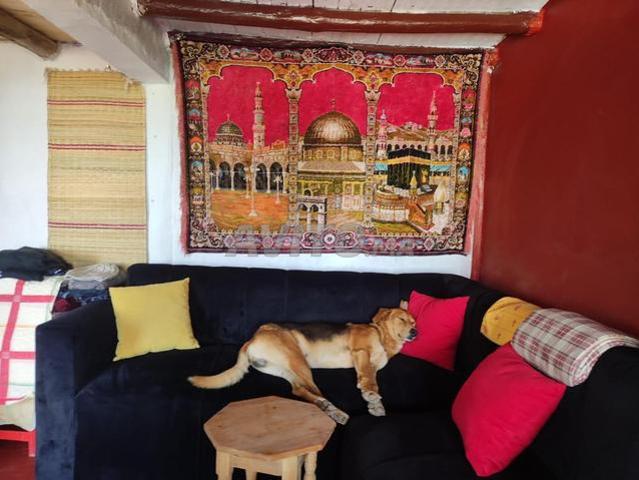 Maison location à Tiznit, Oued ed Dahab-Lagouira