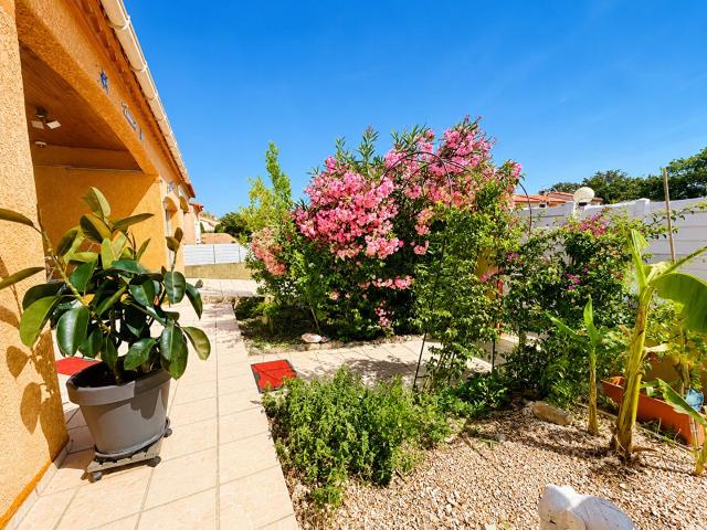 Maison vente à Céret, Brouilla