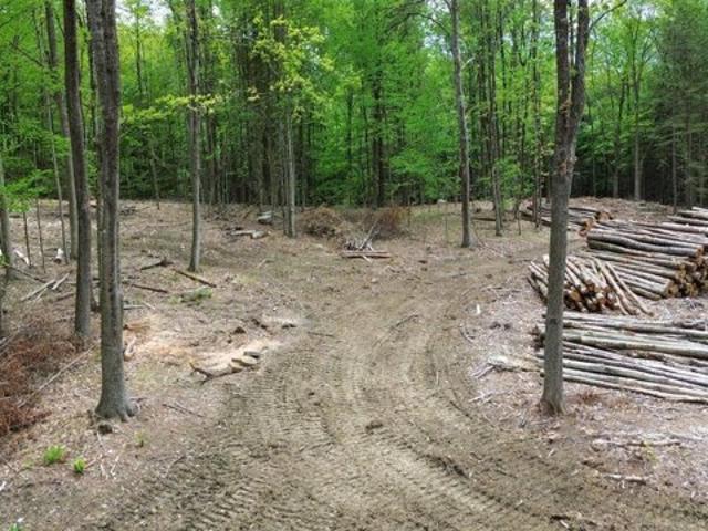 Land for sale in New Hampshire