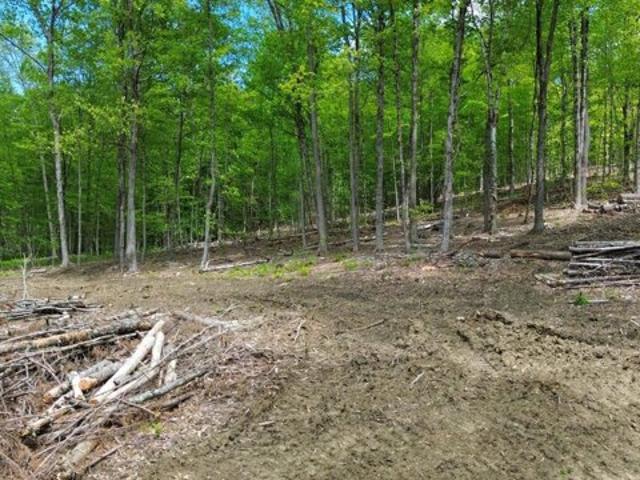Land for sale in New Hampshire