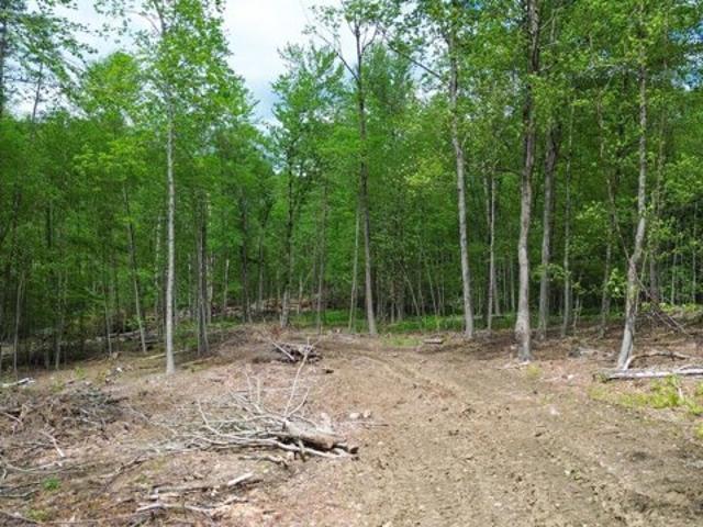 Land for sale in New Hampshire