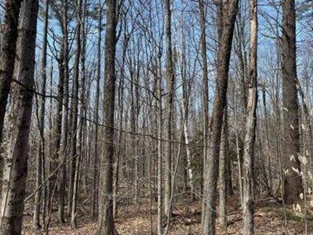 Land for sale in Plainfield, Sullivan County