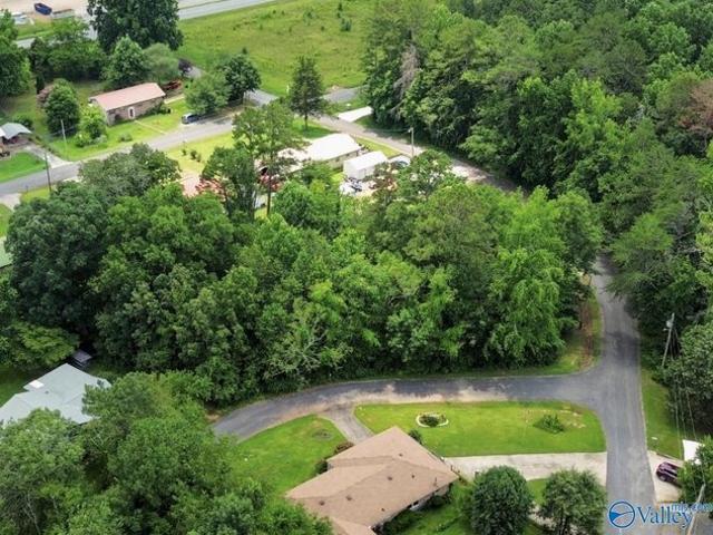 Land for sale in Flat Rock, Alabama