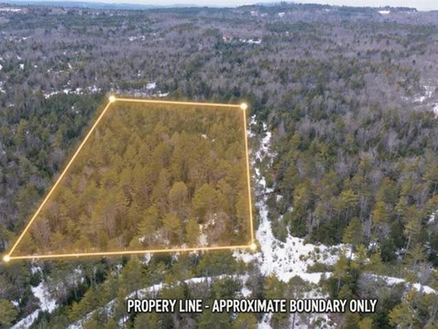 Land for sale in Harrison, Maine