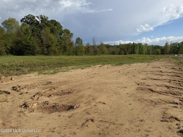 Land for sale in Vicksburg, Mississippi