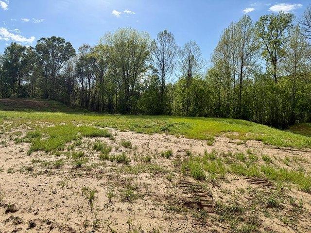 Land for sale in Vicksburg, Mississippi