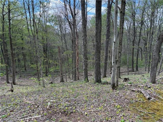Land for sale in Woodsfield, Ohio