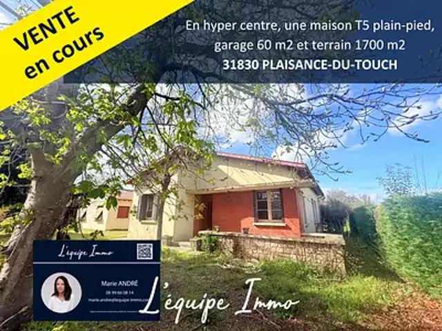 Maison vente à Toulouse, Plaisance-du-touch