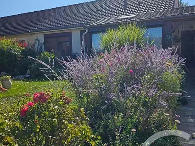 Maison vente à Versailles, Plaisir