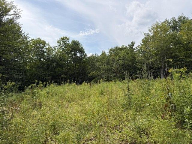 Land for sale in Jay, Maine