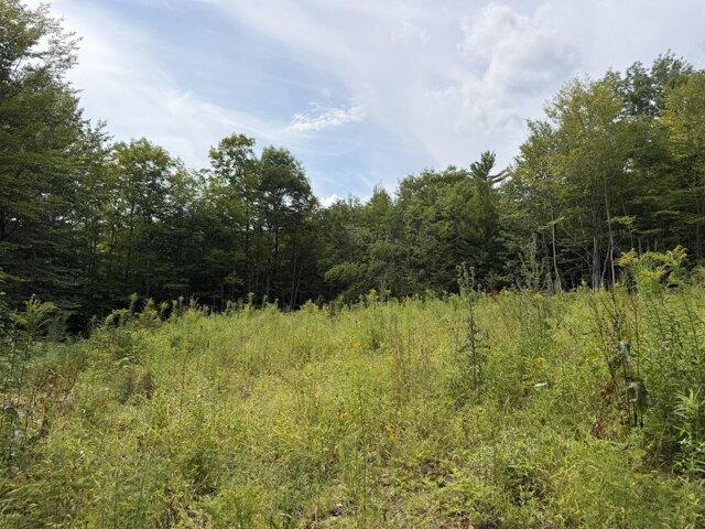 Land for sale in Jay, Maine