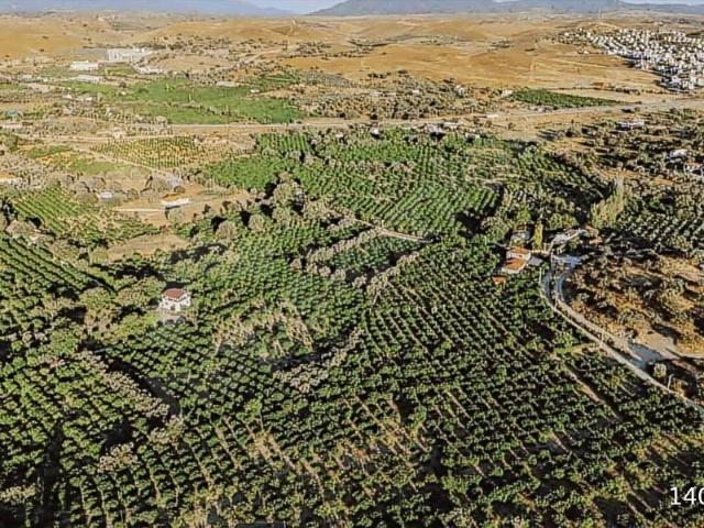 Seferihisar, İzmir içerisinde satılık Arsa