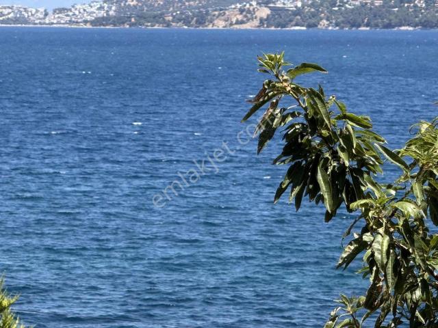 Gömeç, Balikesir içerisinde satılık mülk