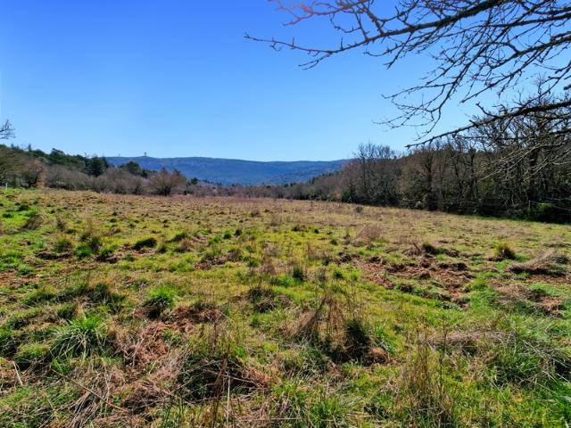 Château vente à Plan-d'aups-sainte-baume