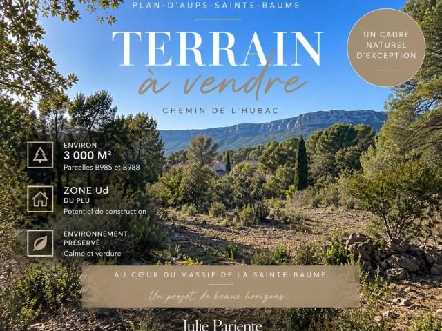 Terrain vente à Brignoles, Plan-d'aups-sainte-baume
