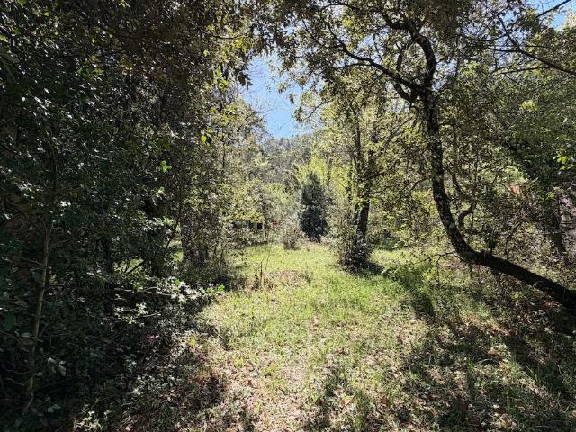 Terrain vente à Plan-d'Aups-Sainte-Baume, Var