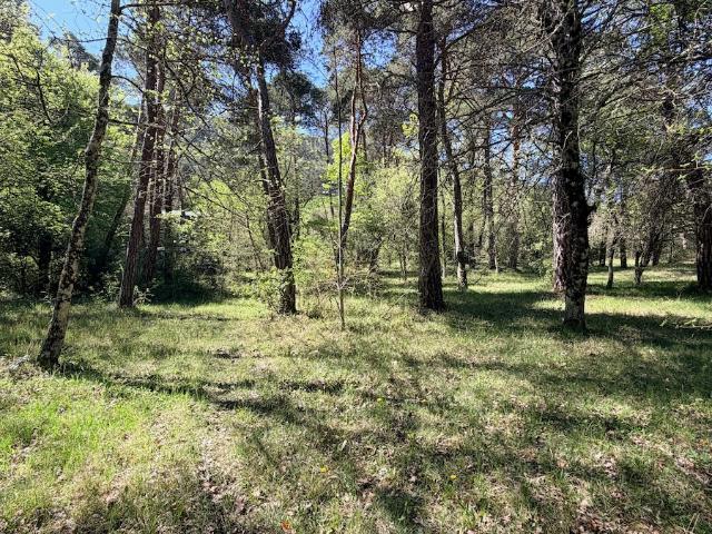 Terrain vente à Plan-d'Aups-Sainte-Baume, Var