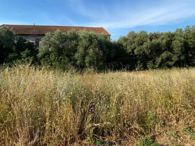 Terrain vente à France métropolitaine, Plan-de-cuques