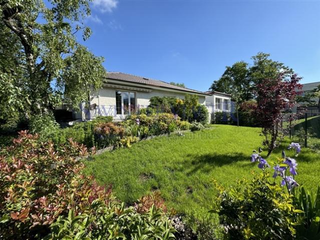 Einfamilienhaus kaufen in Plan-les-Ouates