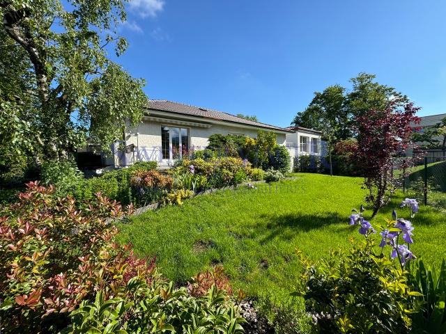 Haus kaufen in Plan-les-Ouates