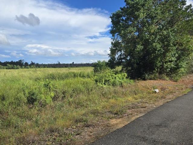 Land for sale in Deridder, Louisiana