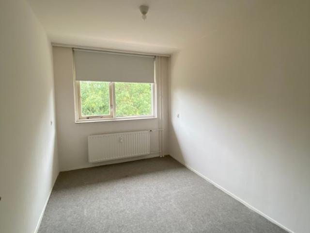 Appartement te huur in Paddepoel-Noord, Groningen