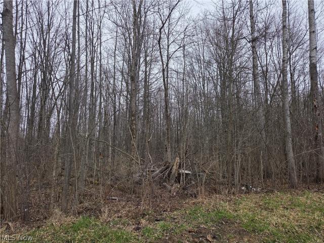 Land for sale in North Bloomfield, Ohio