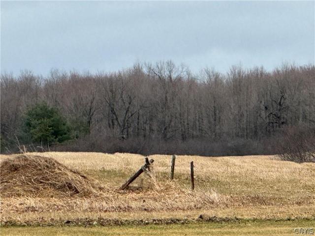 Land for sale in Calcium, Jefferson County