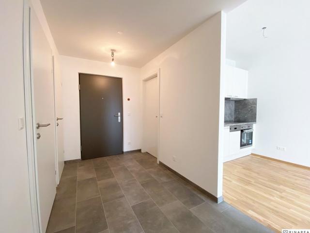 Wohnung mieten in Wiener Neustadt, Niederösterreich