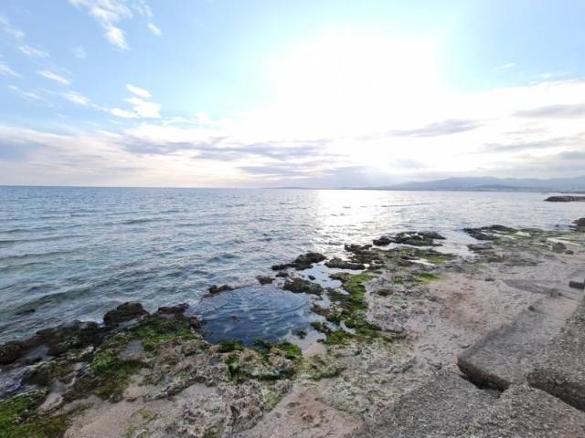 Piso en alquiler en Palma