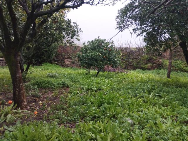 Piso en venta en Sierra Suroeste, Extremadura