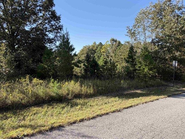 Land for sale in Melbourne, Izard County