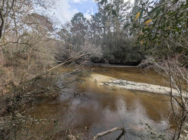 Land for sale in Walton, Florida