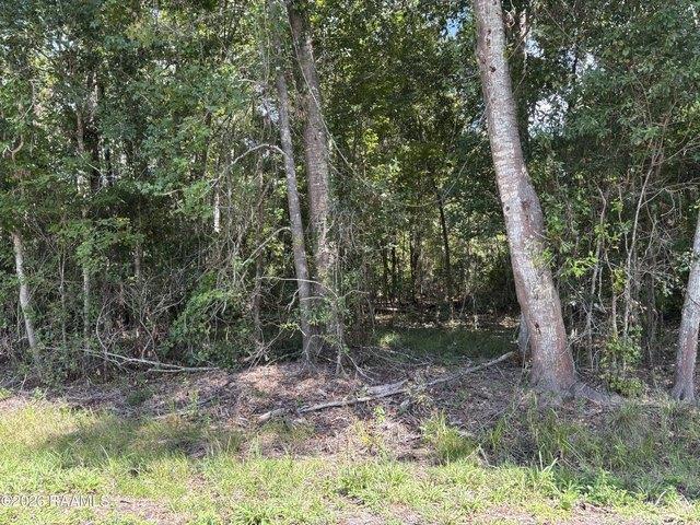 Land for sale in Abbeville, Vermilion Parish