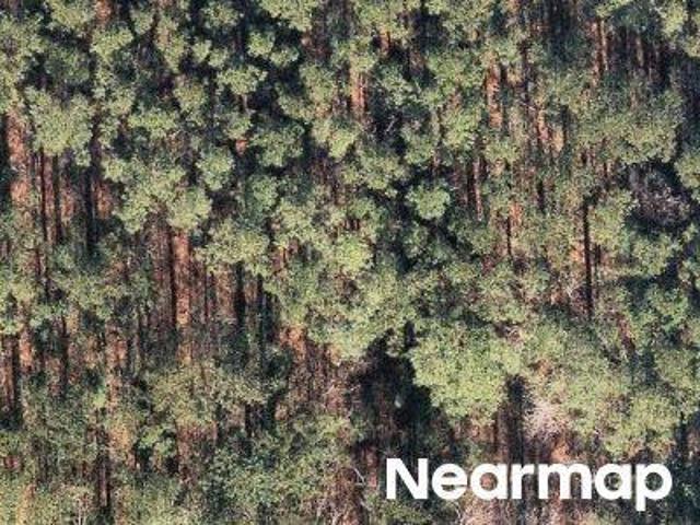 Land for sale in Moncks Corner, South Carolina
