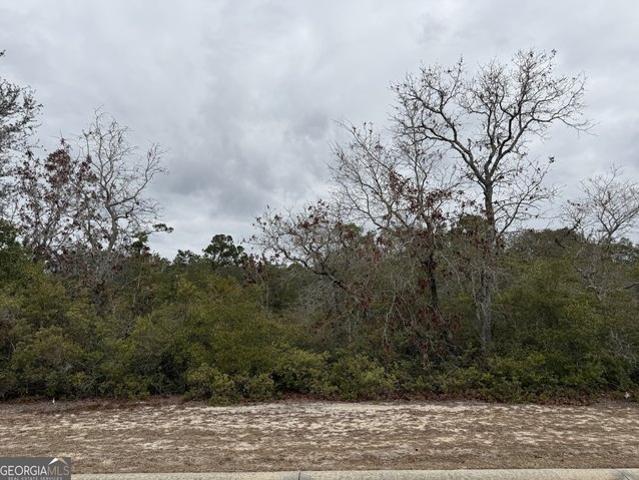 Land for sale in Blackshear, Pierce County