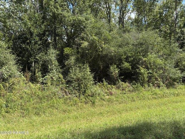 Land for sale in Abbeville, Vermilion Parish