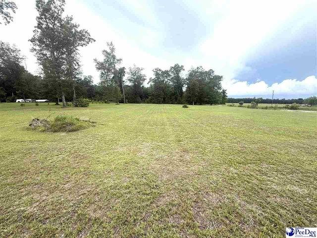 Land for sale in Johnsonville, South Carolina