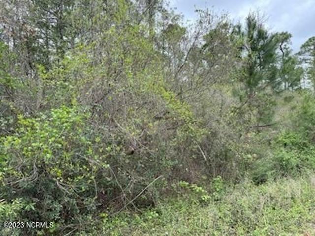 House for sale in Wilmington, North Carolina